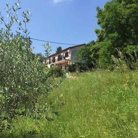 Apartment Cimbora, Salara Farmhouse Koper Exterior photo