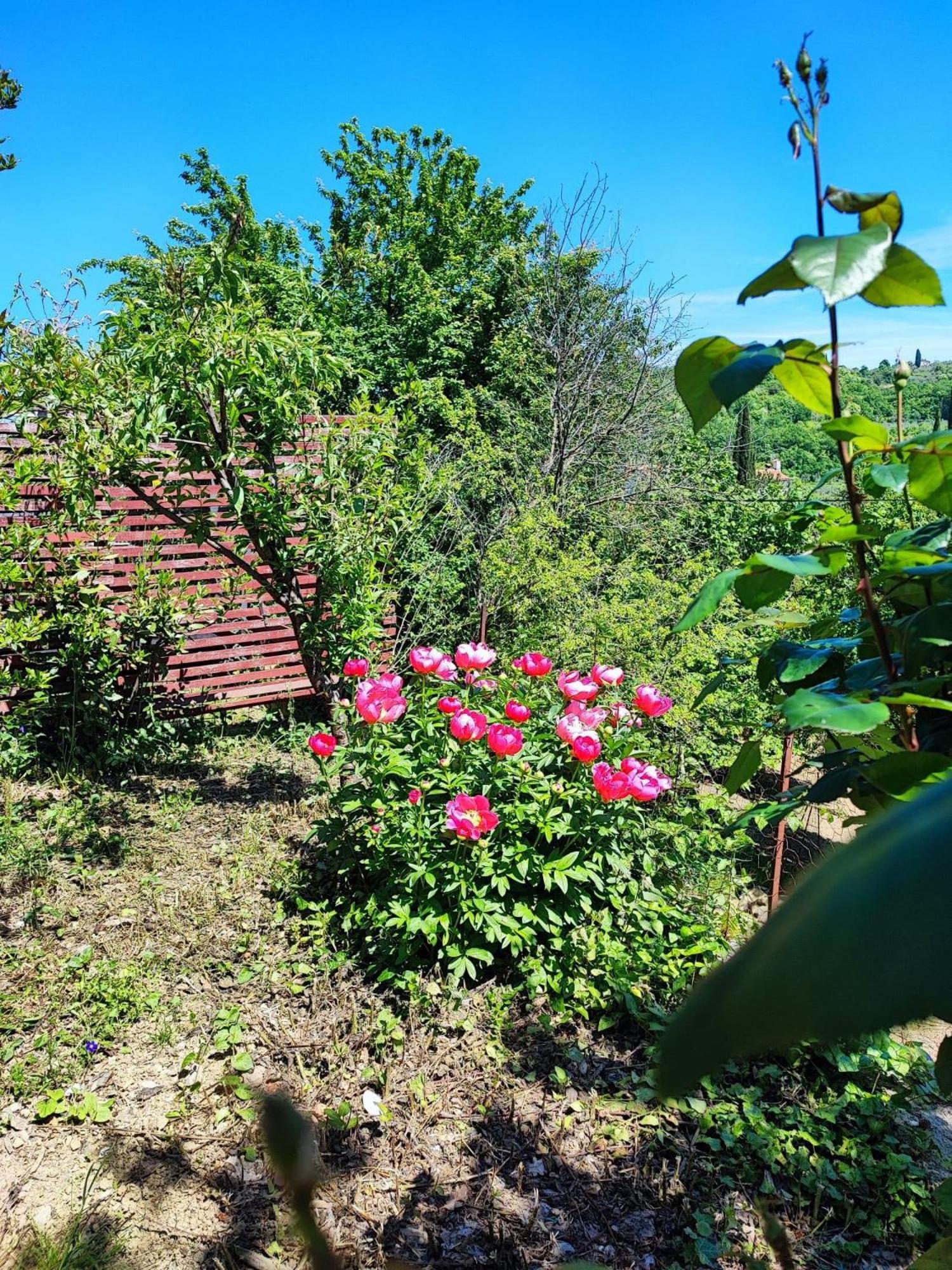 Apartment Cimbora, Salara Koper