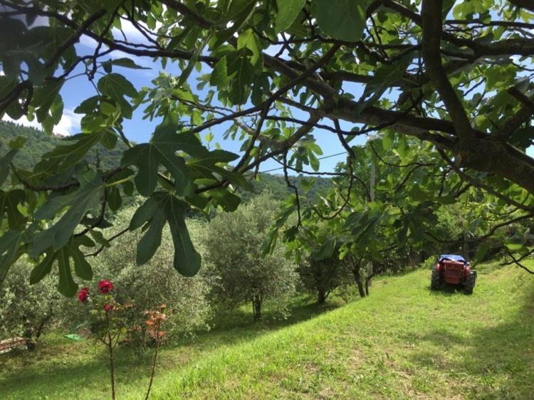 Appartamento Cimbora, Salara *