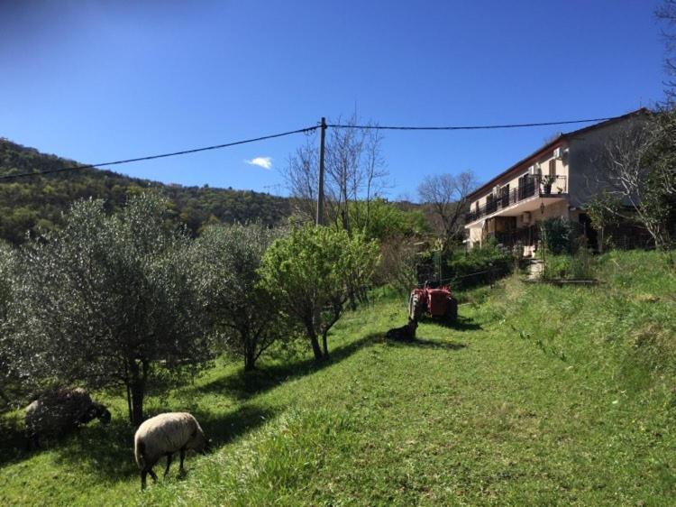 Appartamento Cimbora, Salara Capodistria
