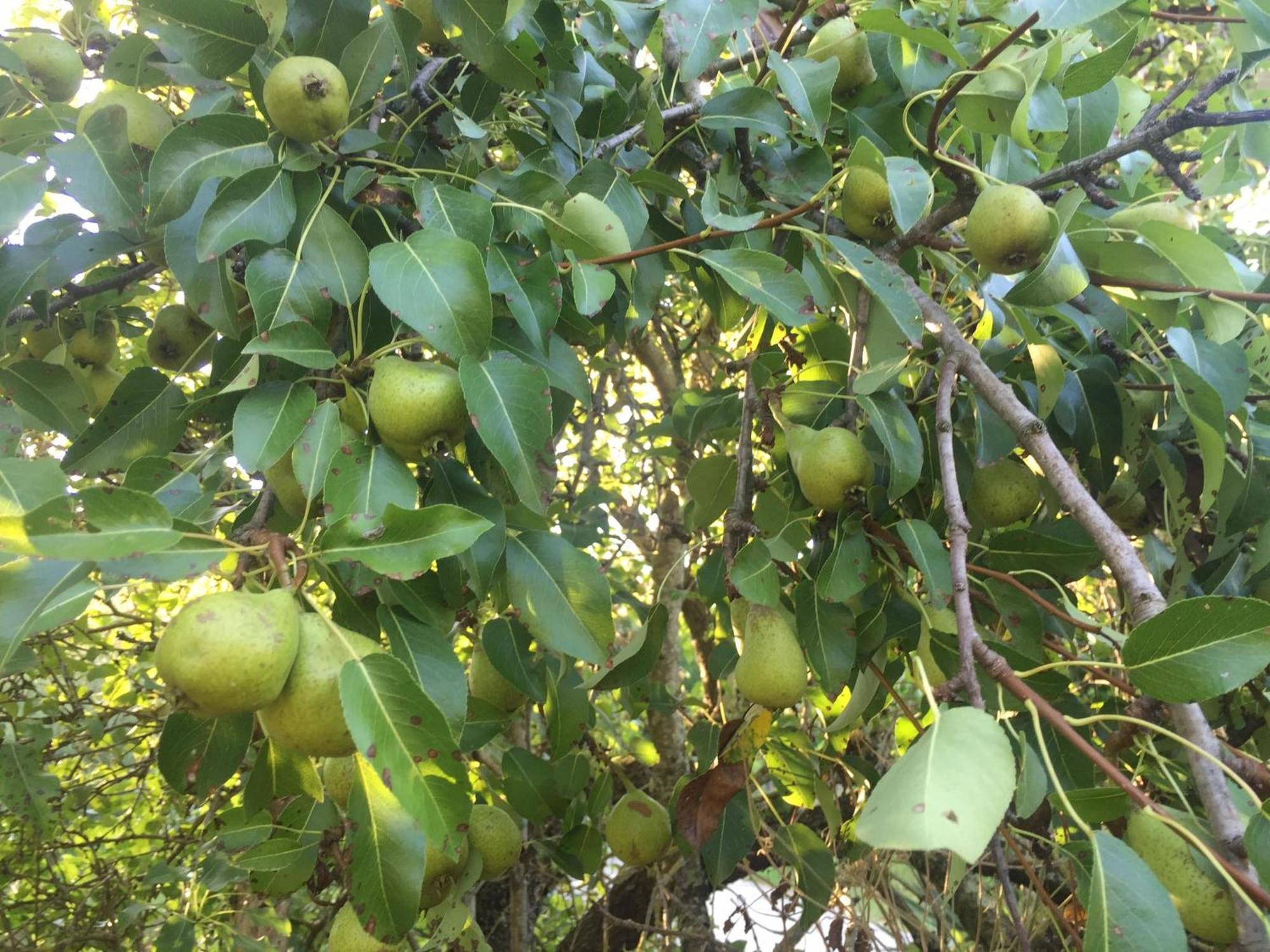 Appartamento Cimbora, Salara *